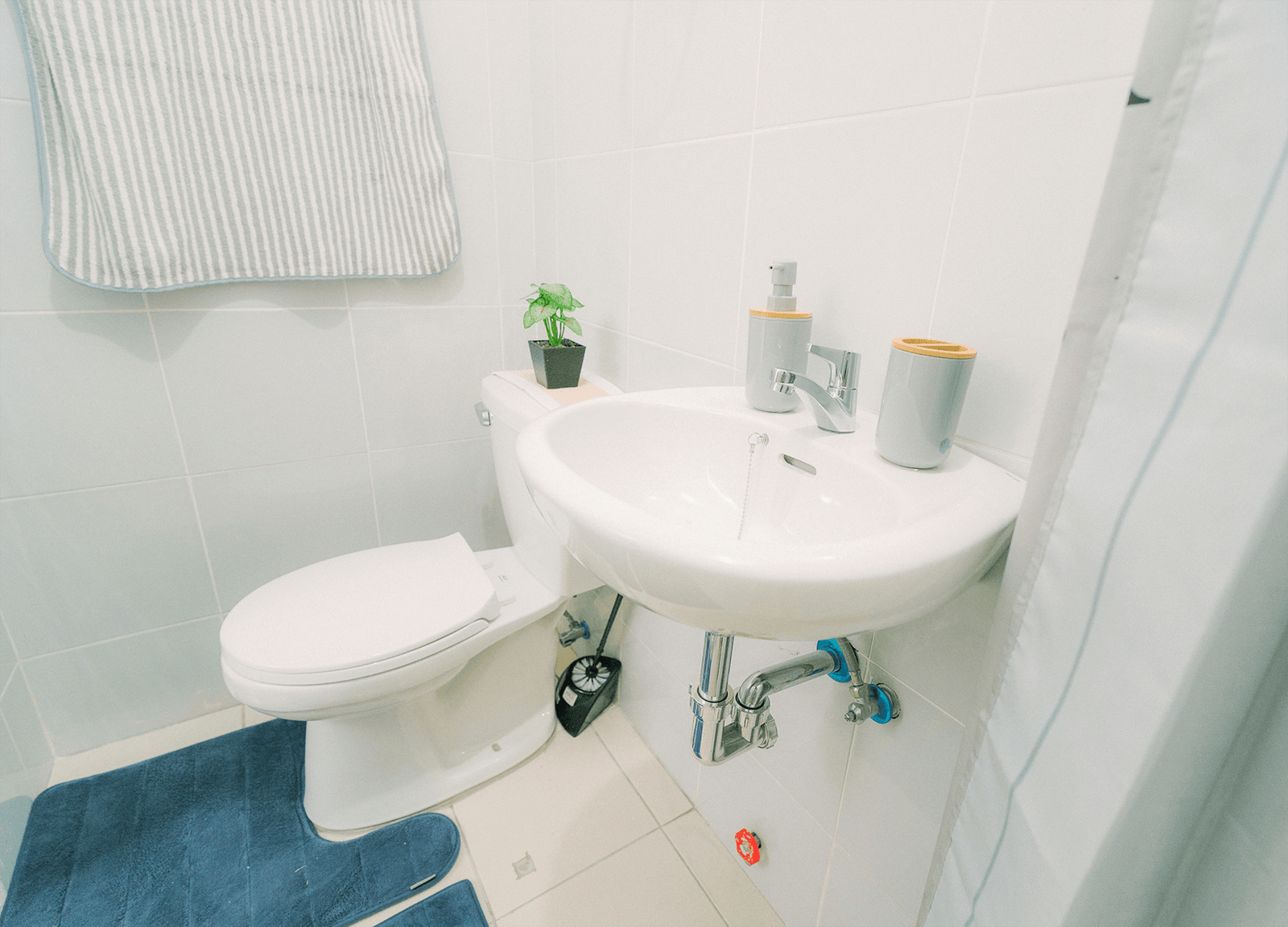 AR2 Amaranth - Landscape - opt (17)