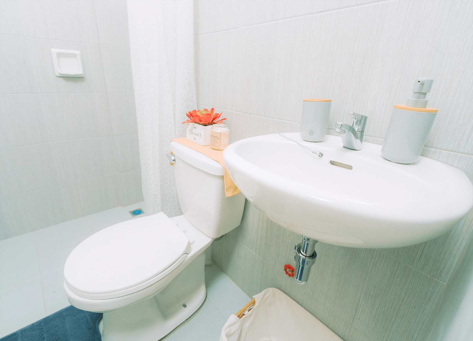 AR2 - Carmine - landscape - amiya rosa two - opt (7)